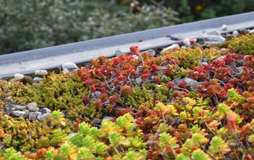 the cost of Liden green roof installation