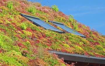 Liden living roof systems