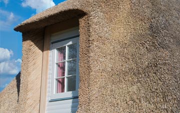 Liden thatch roof disadvantages