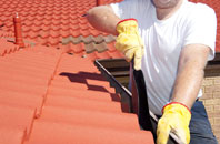 Liden roof cleaners