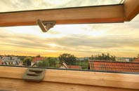 rated Liden roof window companies